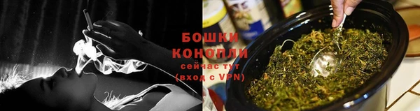 гашик Белокуриха