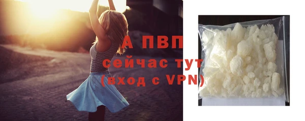 гашик Белокуриха