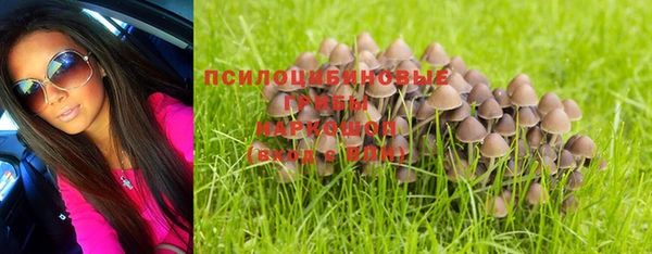 гашик Белокуриха